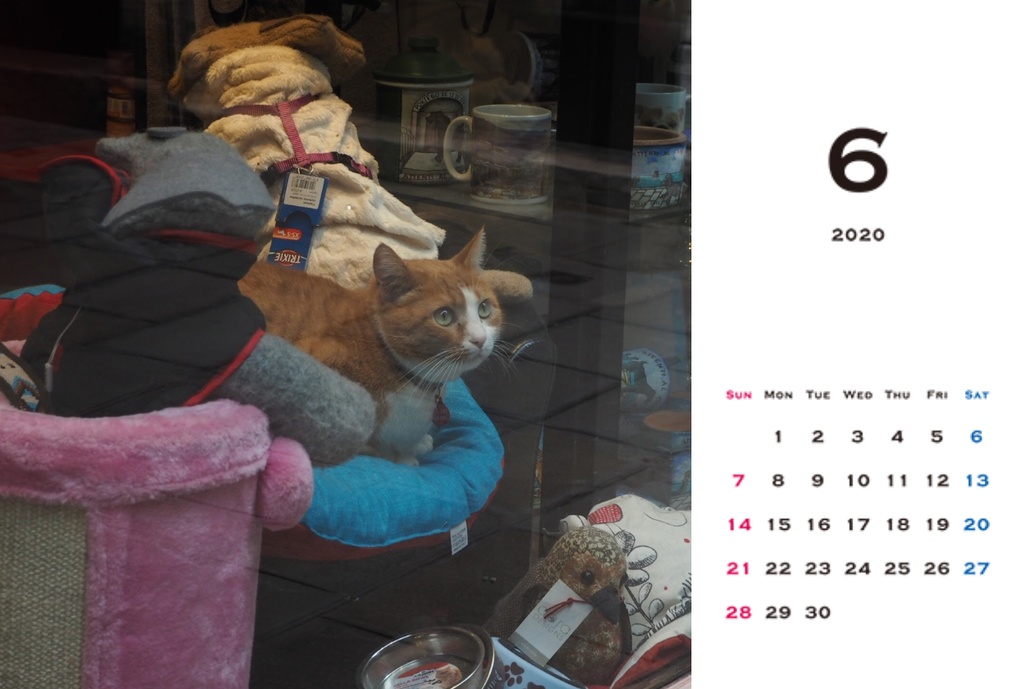 旅猫カレンダー 卓上 4月始まり Jasmine0125 Booth