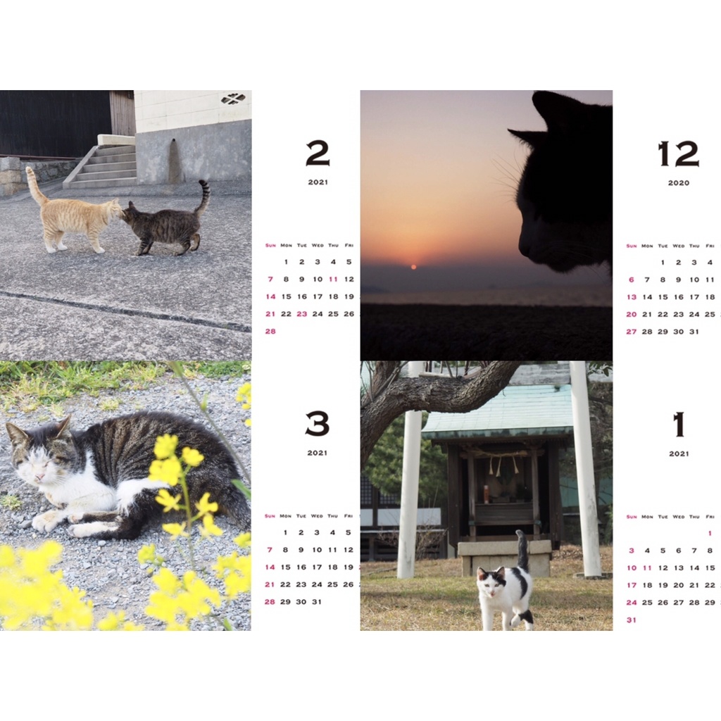 旅猫カレンダー2020 卓上 4月始まり