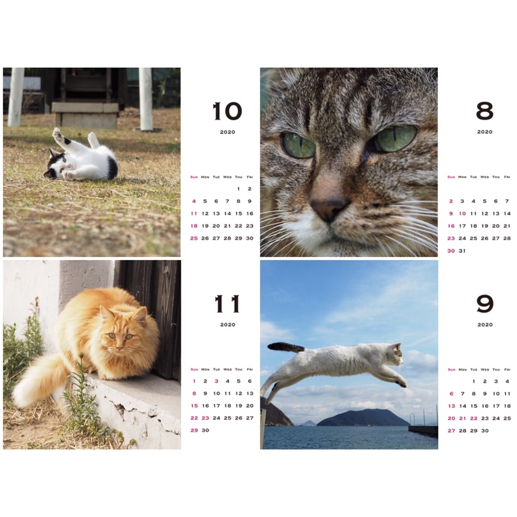 旅猫カレンダー2020 卓上 4月始まり