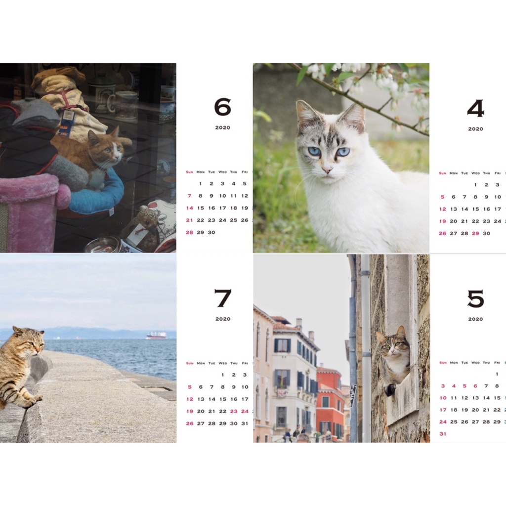 旅猫カレンダー2020 卓上 4月始まり