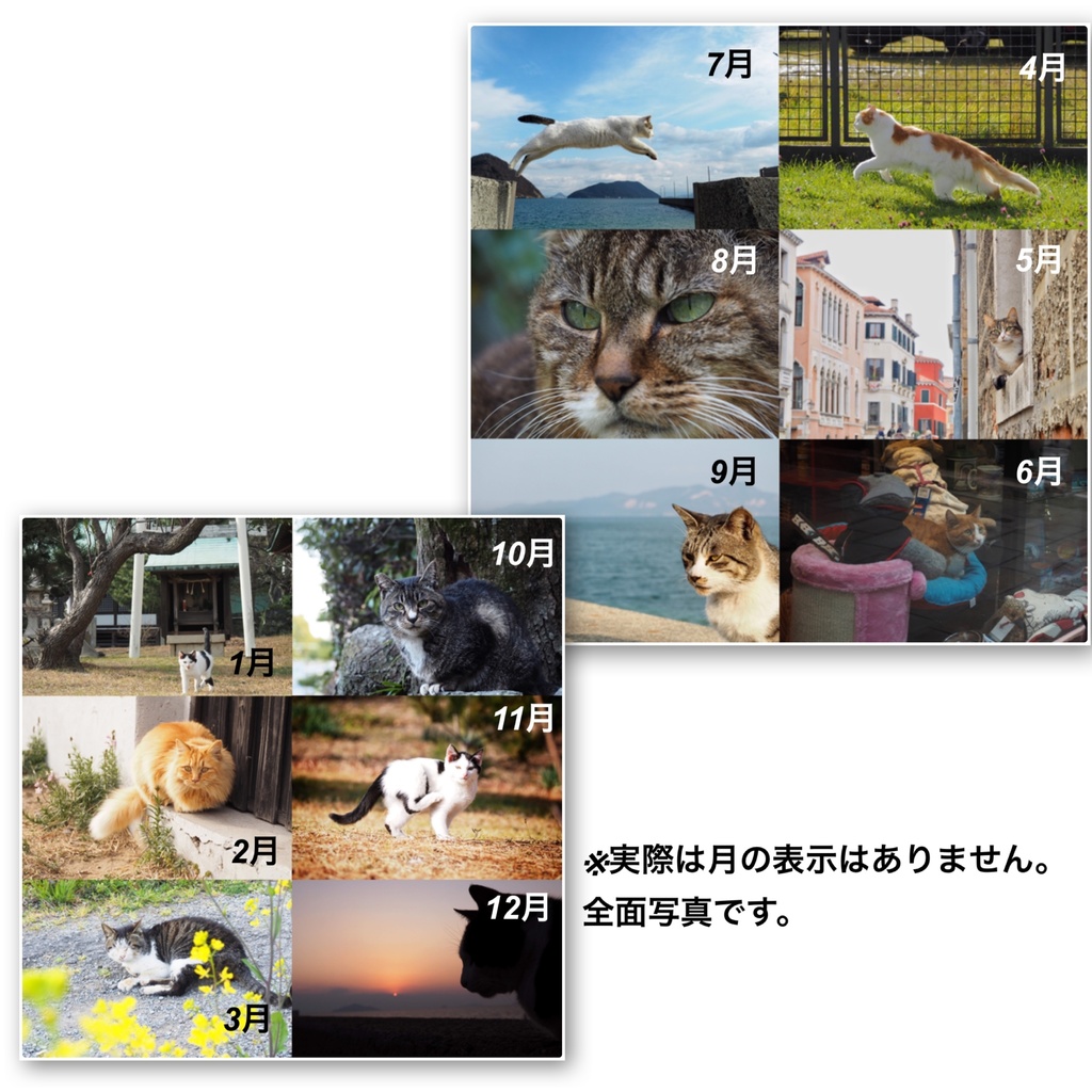 旅猫カレンダー2020 卓上 全面タイプ 4月始まり