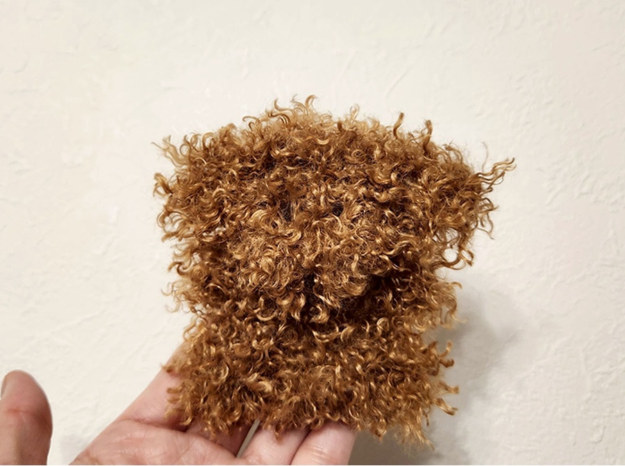 いぬぬい／からあげ