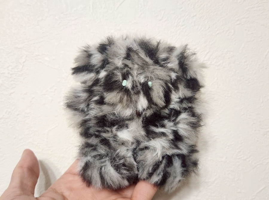 いぬぬい／しろめまだら