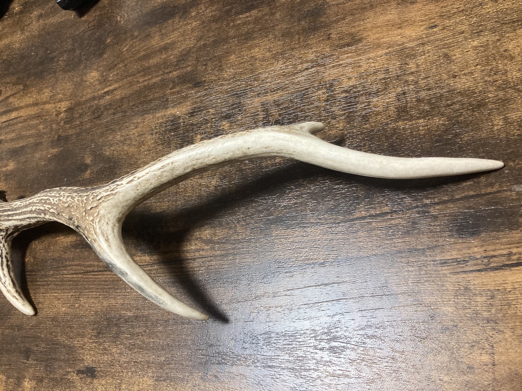 鹿ツノランタンハンガー【管理番号S-6】