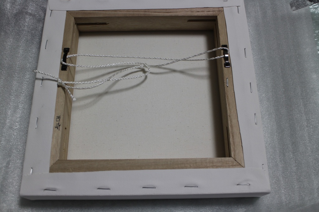 単眼 キャンバスプリント 250×250