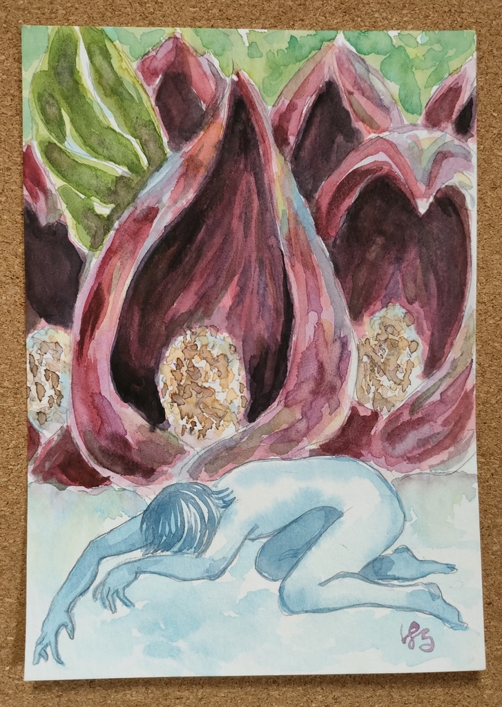 2L判原画『ザゼンソウと少年』