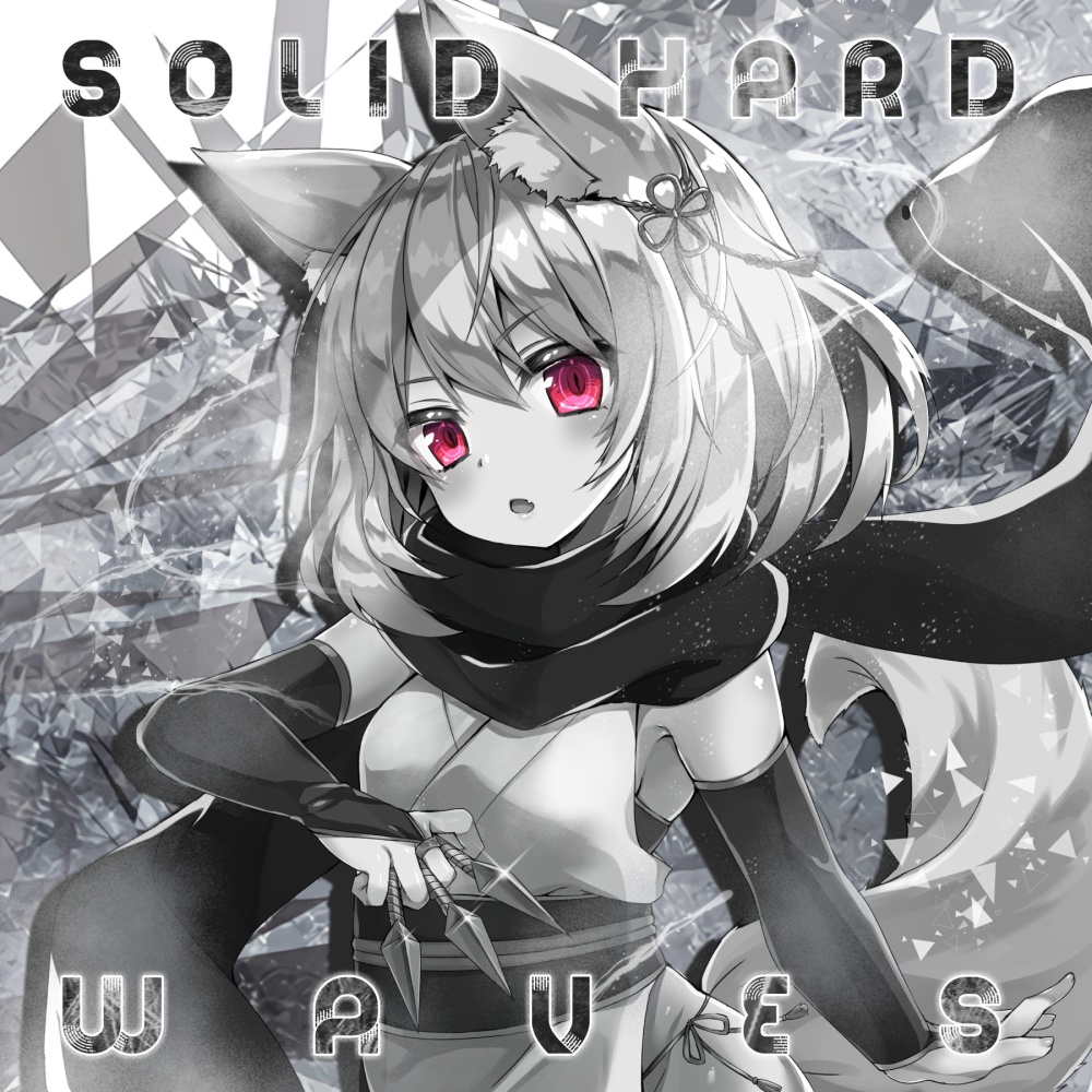 SOLID HARDWAVES(ダウンロード版)