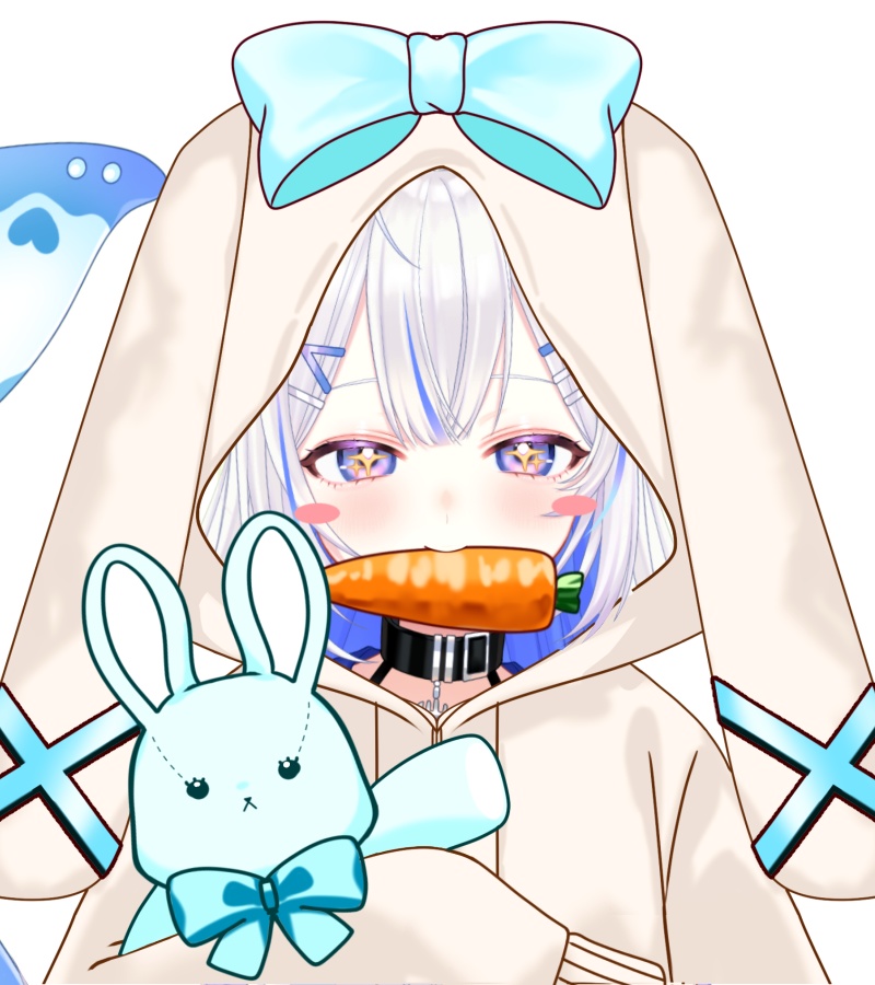 衣装素材_うさみみパーカー_全5色