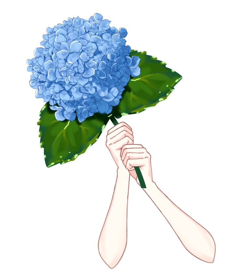 Vtuber素材_紫陽花を持つ手