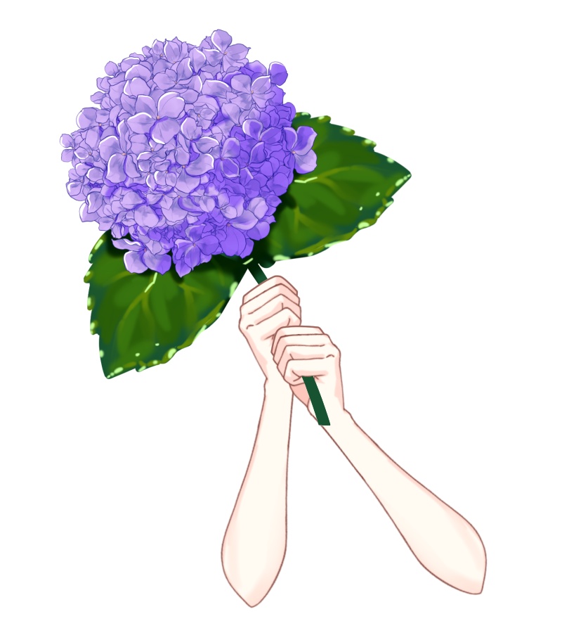 Vtuber素材_紫陽花を持つ手