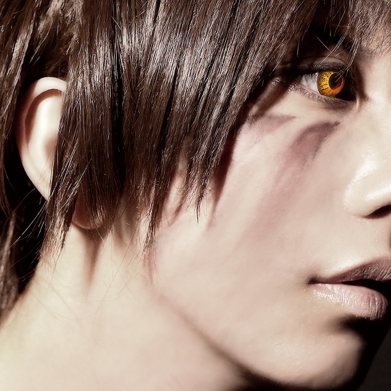 memento mori & 現在公開可能な情報