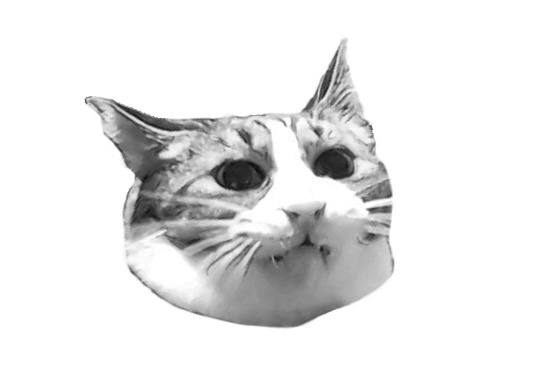 両面ー猫ユニバースTシャツ