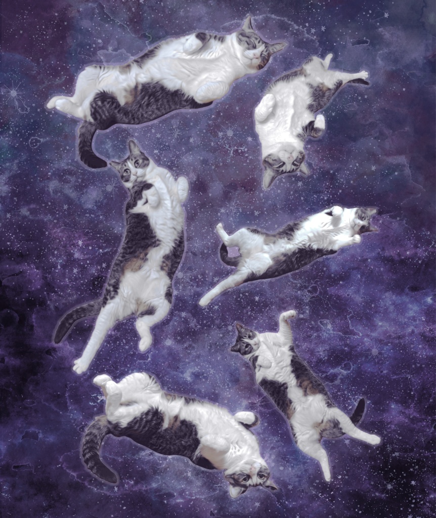 両面ー猫ユニバースTシャツ