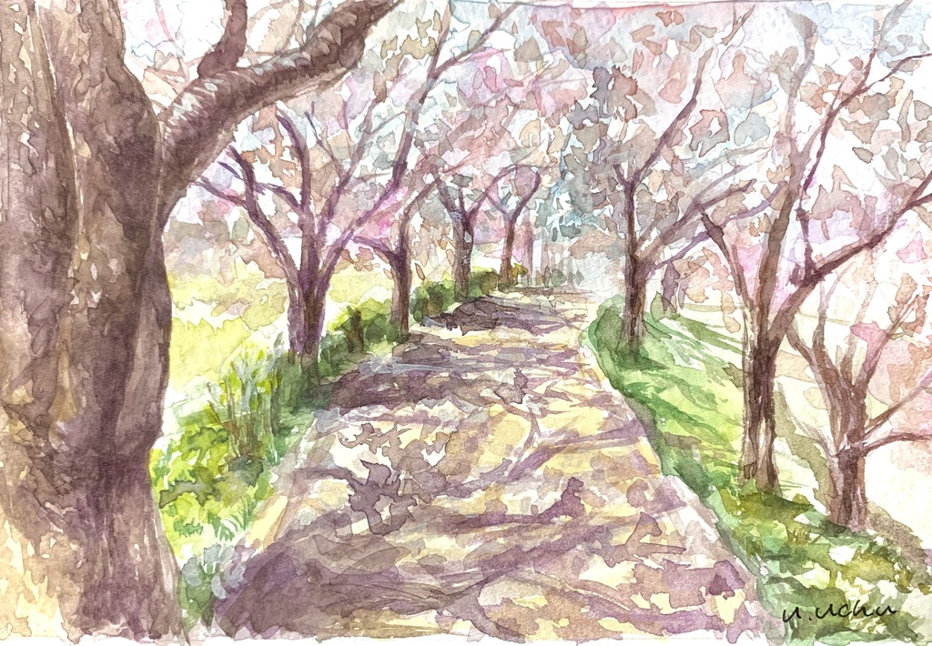 透明水彩画 水彩画 「桜の咲く並木道」額縁付 F4サイズ 原画 - 絵画