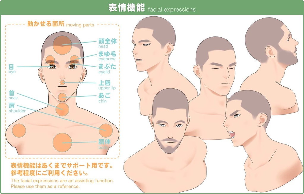 【3D】男性の顔 Ver.2(全2種)for CLIP STUDIO PAINT