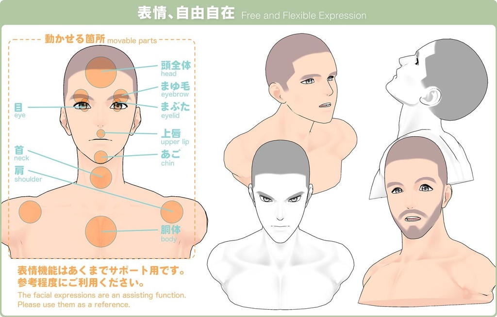 【3D】男性の顔 Ver.2.1(全2種)for CLIP STUDIO PAINT