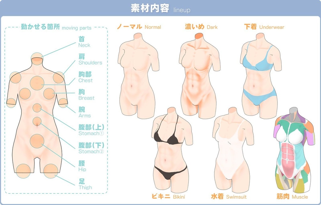 【3D】女性の体 Ver.2.0.1 for CLIP STUDIO PAINT