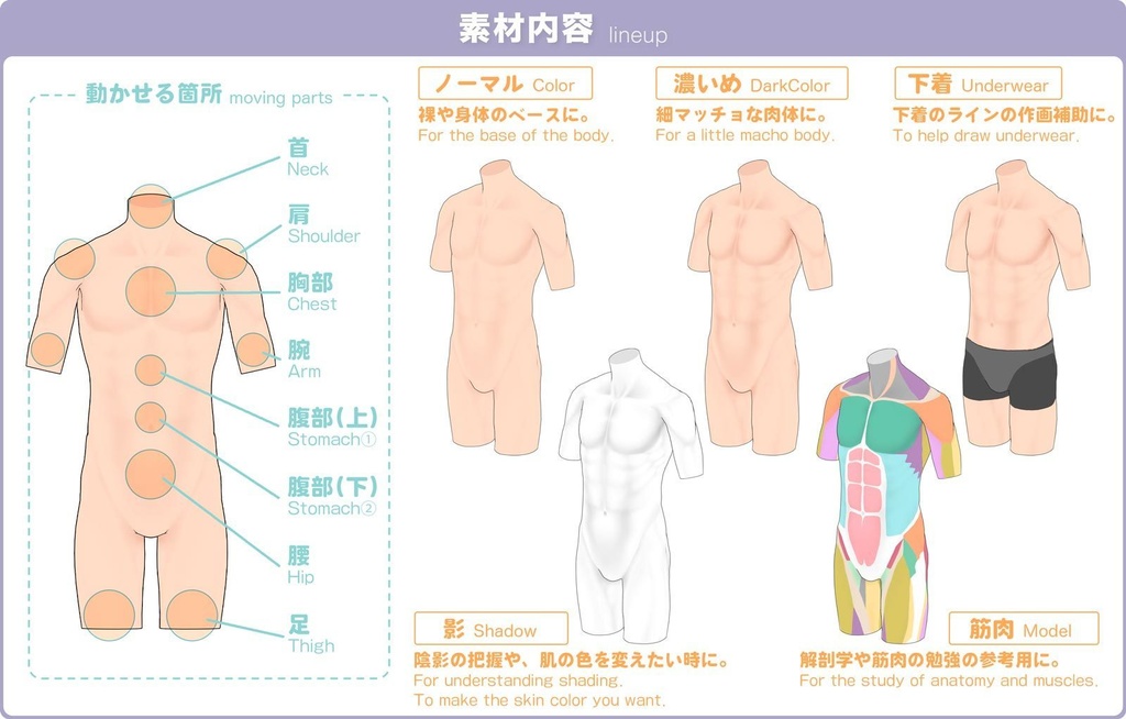 【3D】男性の体 Ver.2 for CLIP STUDIO PAINT