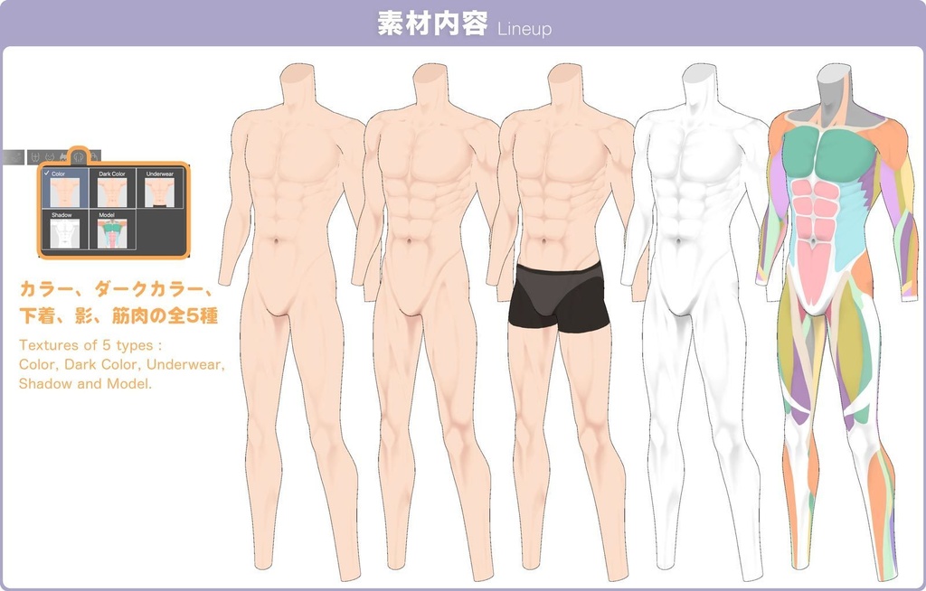 【3D】男性の体 Ver.3 for CLIP STUDIO PAINT