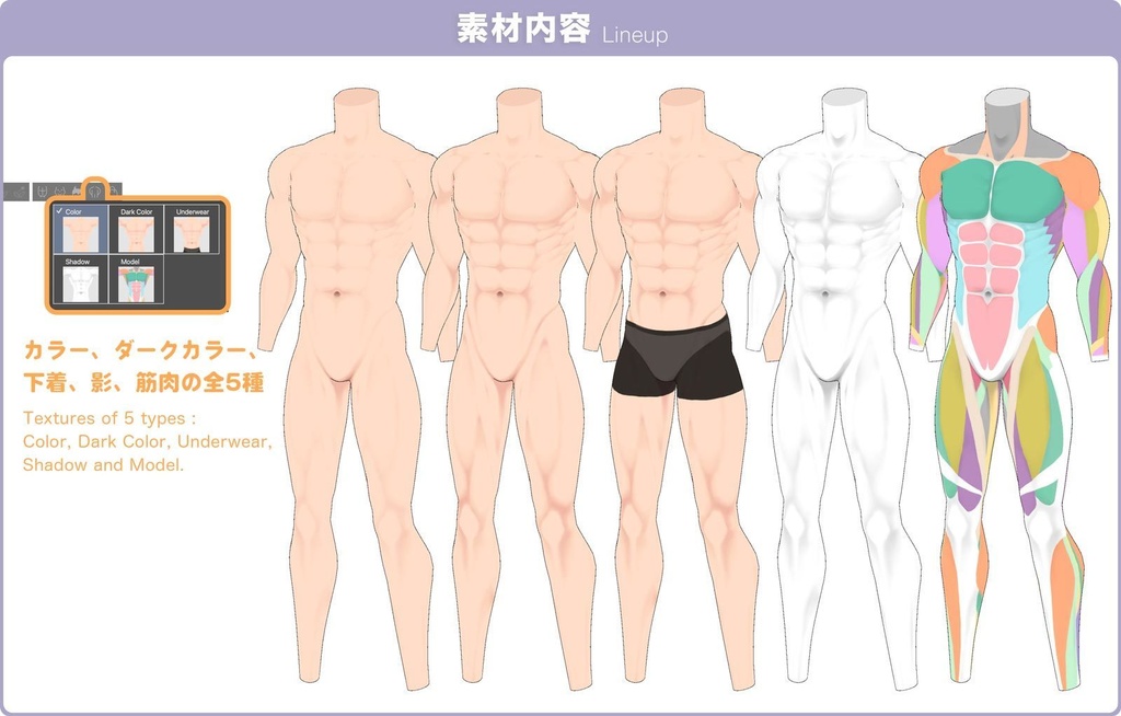 【3D】筋肉質な体 Ver.3 for CLIP STUDIO PAINT