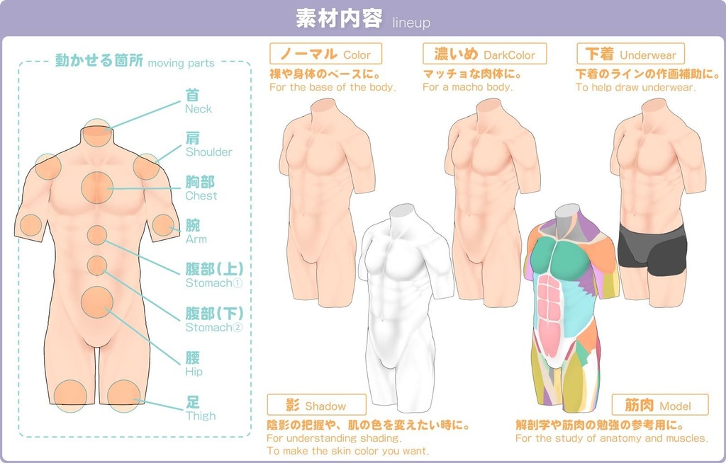 【3D】筋肉質な体 Ver.2 for CLIP STUDIO PAINT