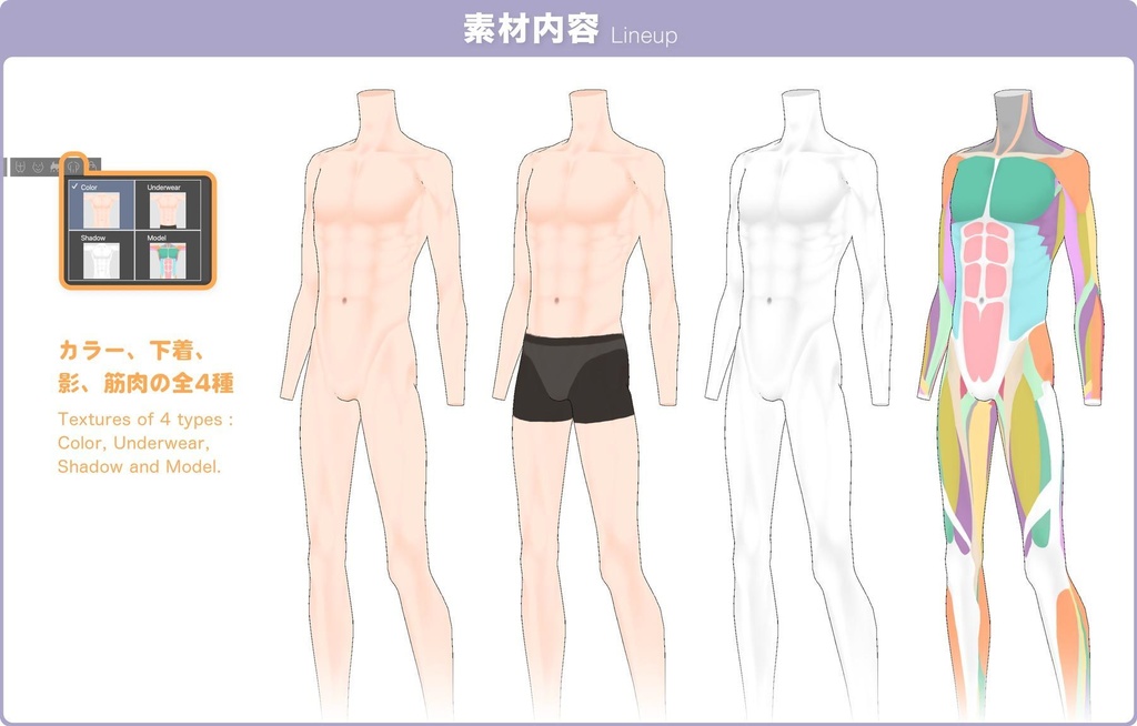 【3D】青年の体 for CLIP STUDIO PAINT