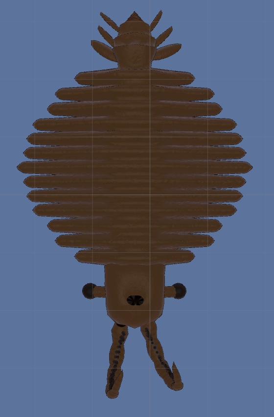 【VRChat向け】アノマロカリス