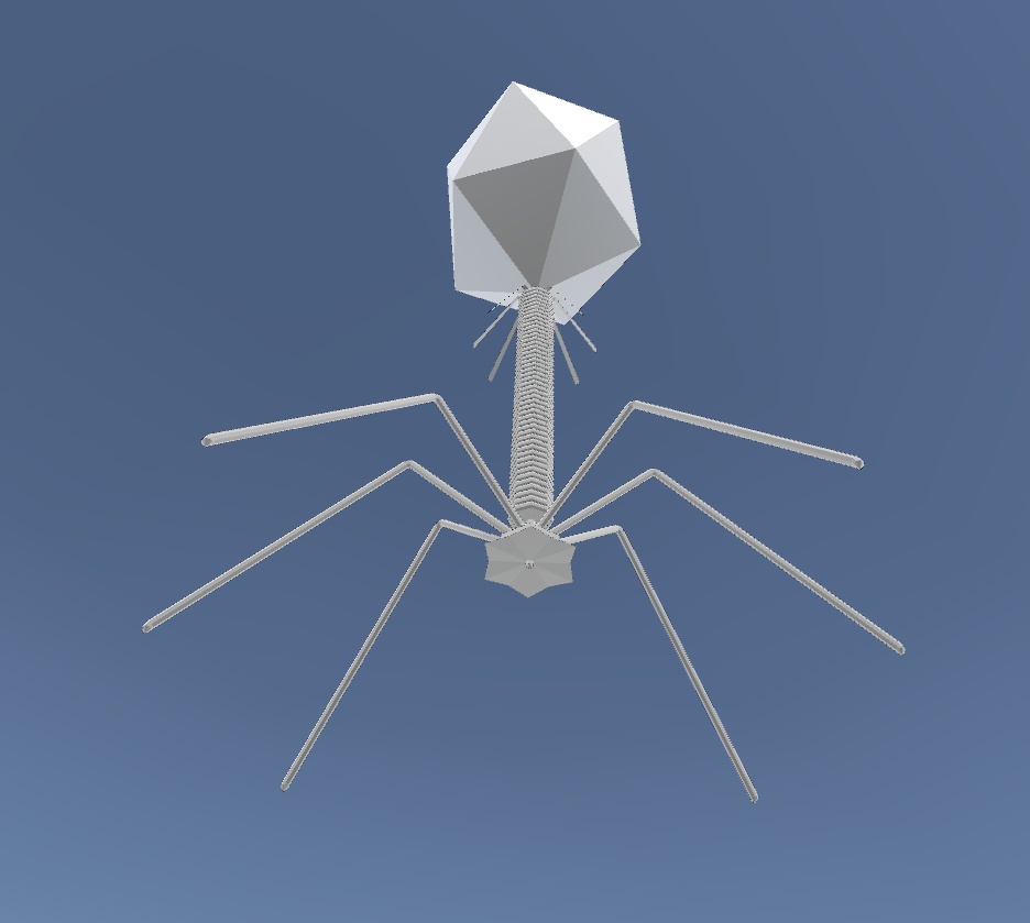 【VRChat向け】T2ファージ