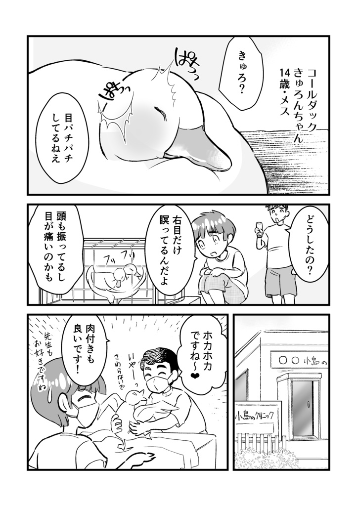 14歳のコールダックきゅろんちゃん~高齢アヒルの抱っこ暮らし