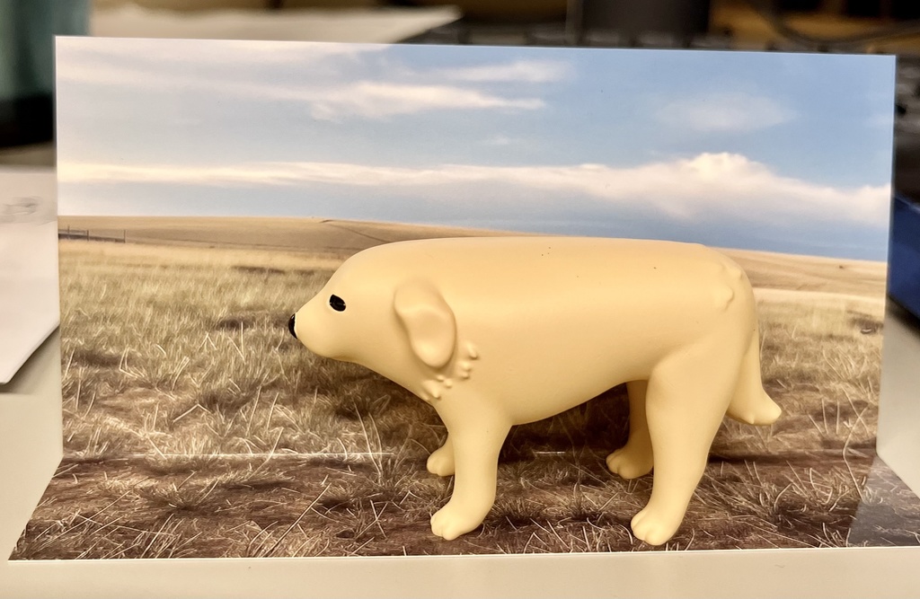 モンゴルの犬【3Dデータ】