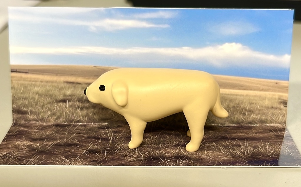 モンゴルの犬と 日本の犬【3Dデータ】