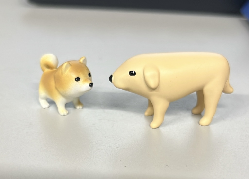 モンゴルの犬と 日本の犬【3Dデータ】