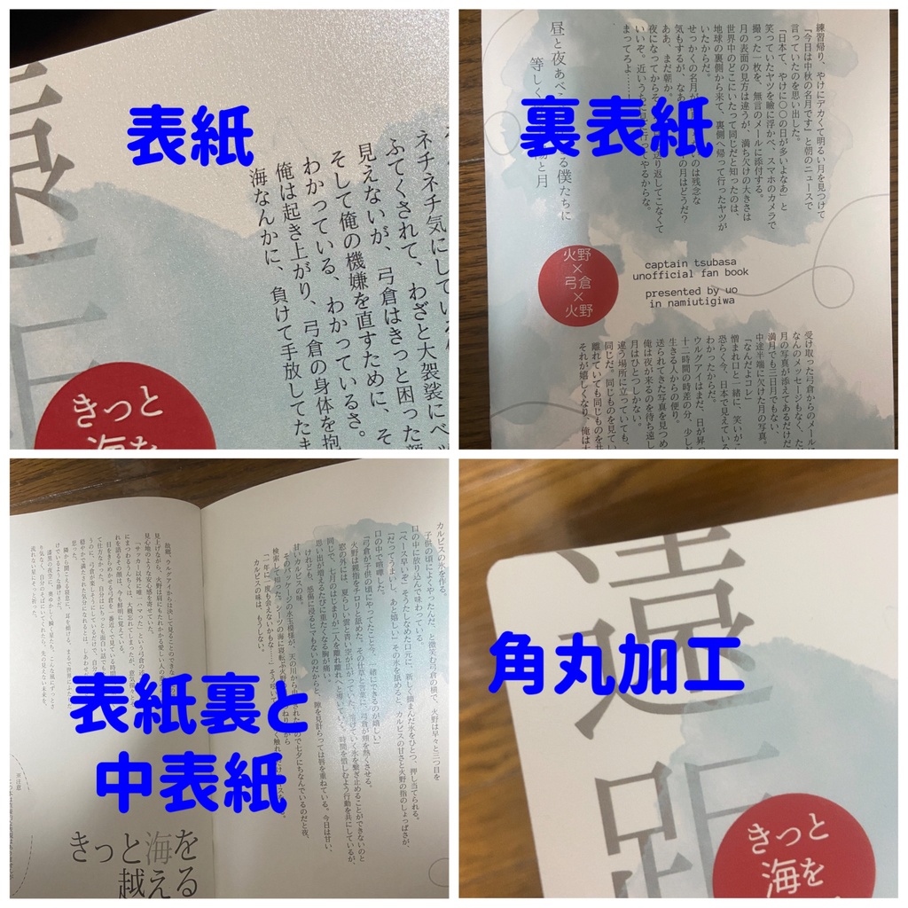 きっと海を越える