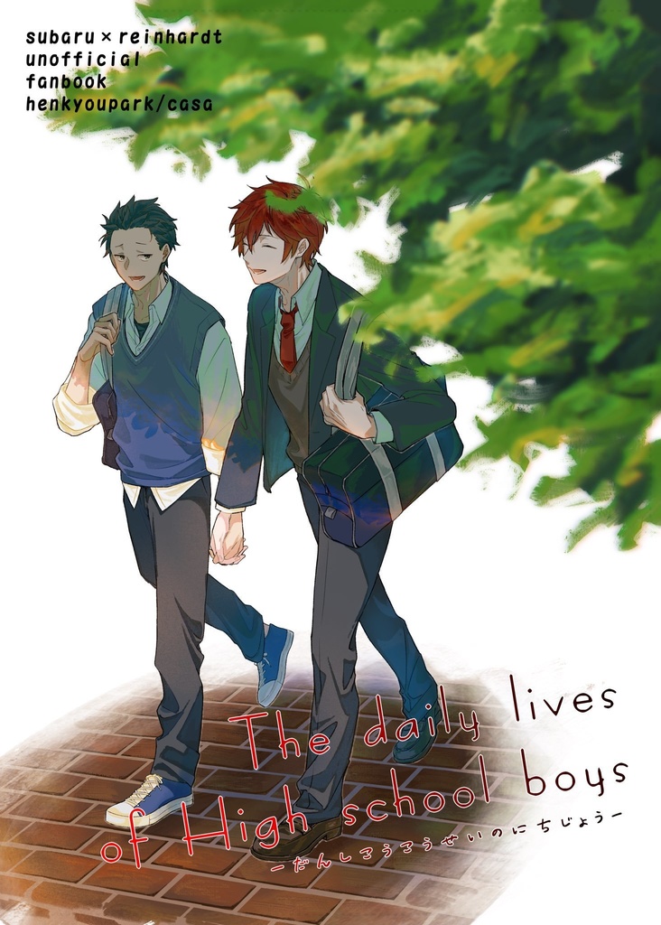 The daily lives of High school boys