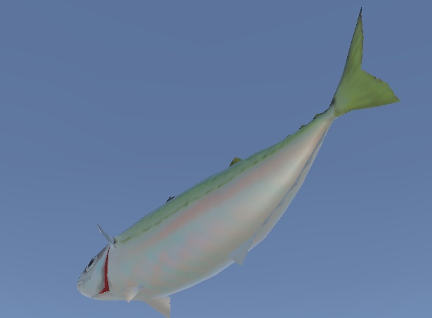 マサバ - 3Dモデル