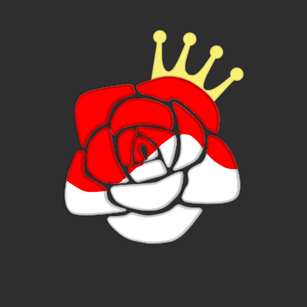 ツイステッドワンダーランド リドル風 アクキー ver,2