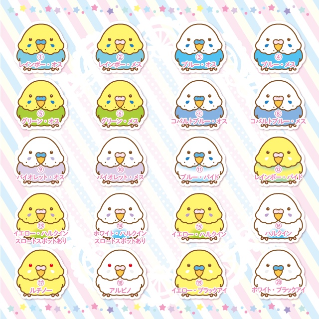 セキセイインコ・耐水ステッカー