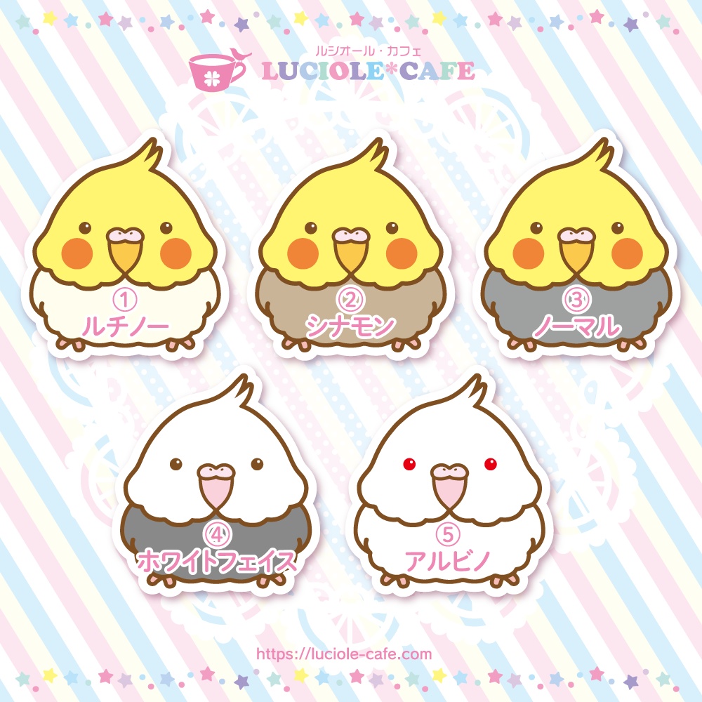 オカメインコ・耐水ステッカー