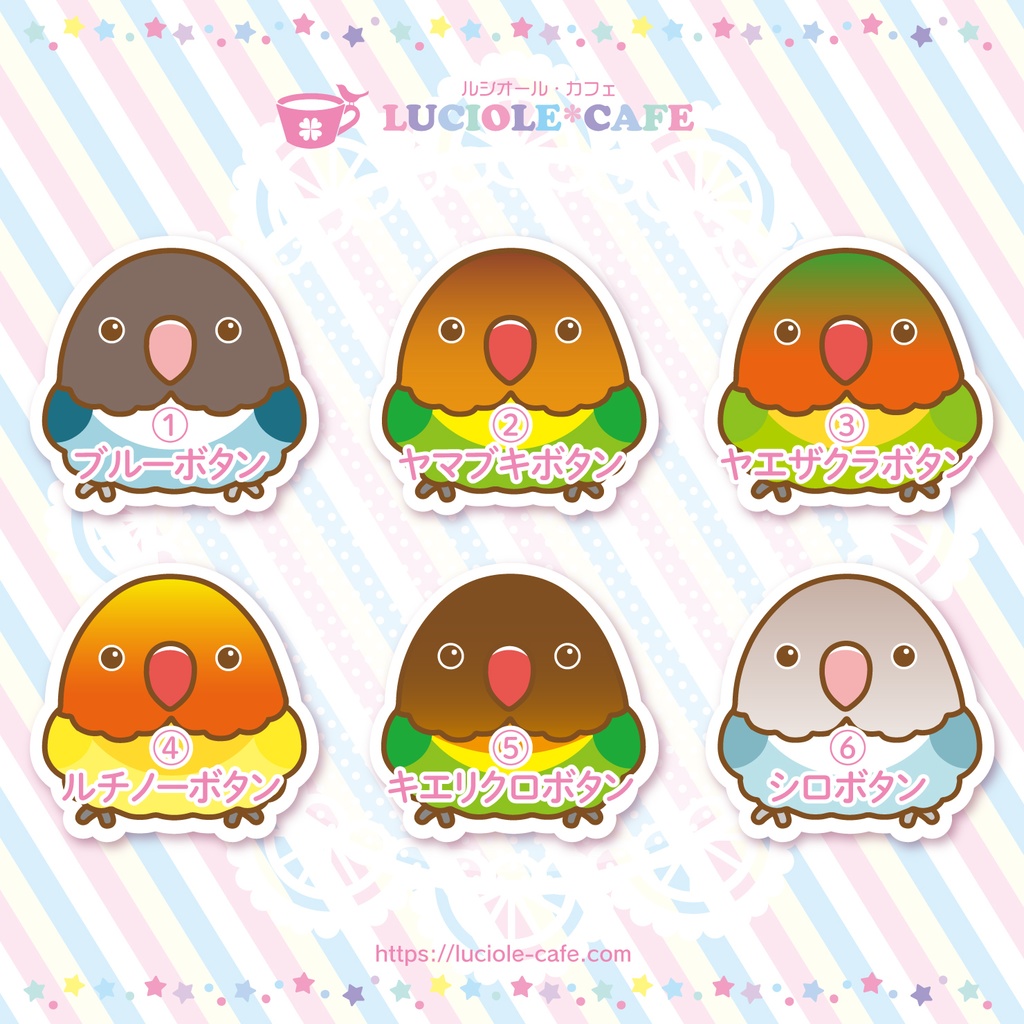 ボタンインコ・耐水ステッカー