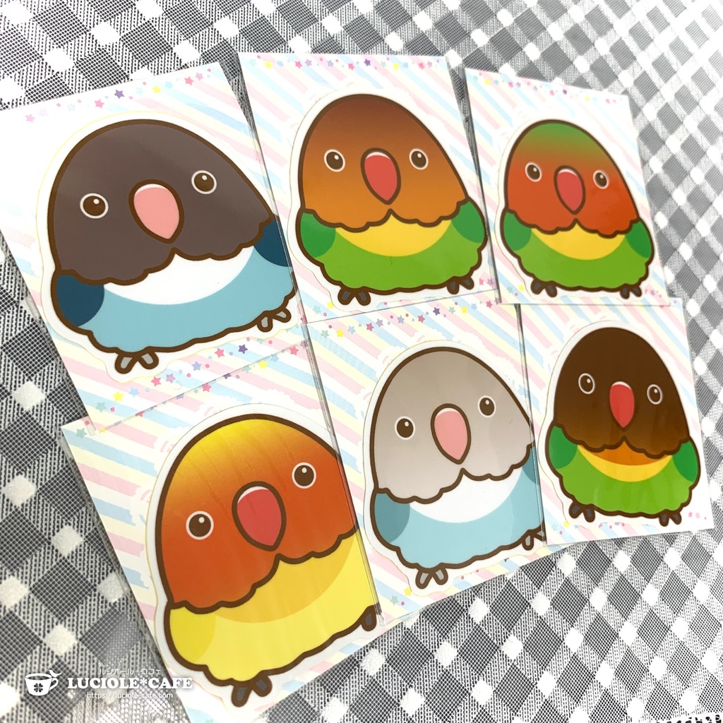 ボタンインコ・耐水ステッカー