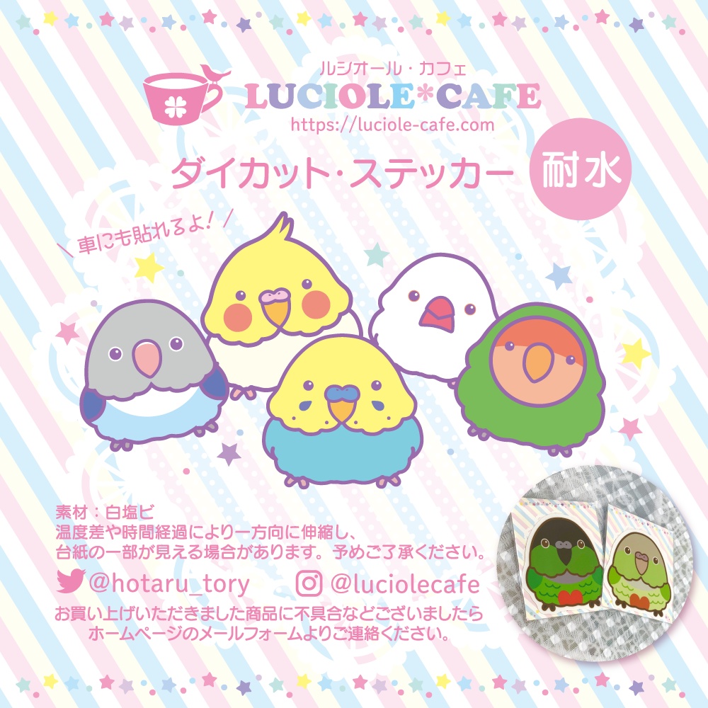 ウロコインコ・耐水ステッカー