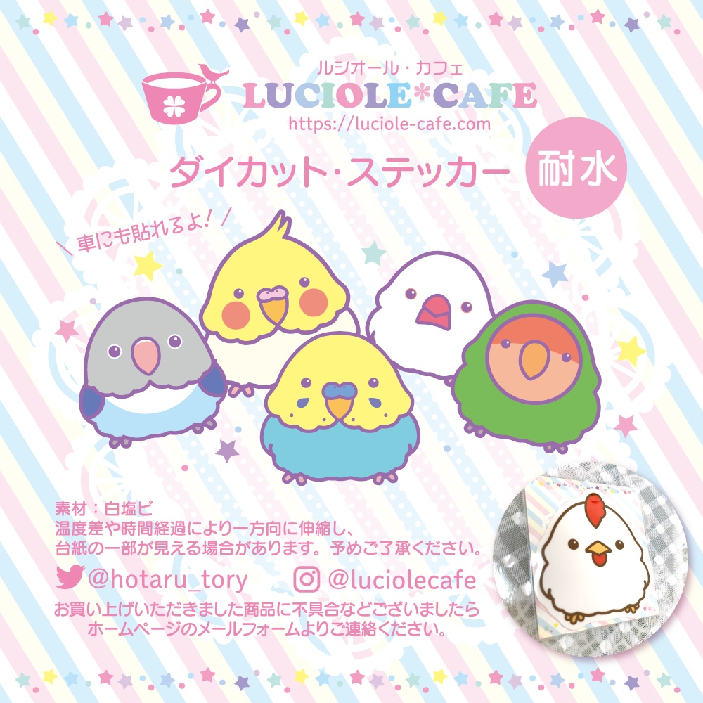 ニワトリ・耐水ステッカー