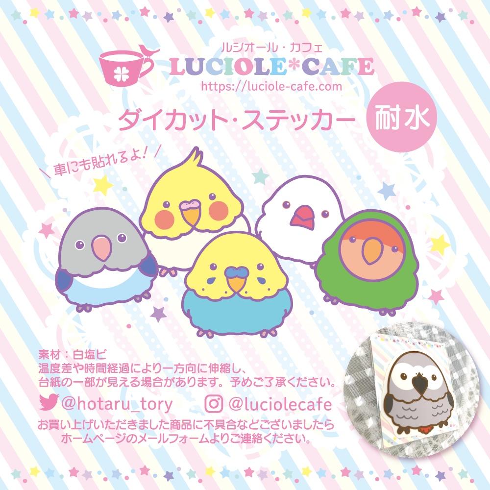 ヨウム・耐水ステッカー