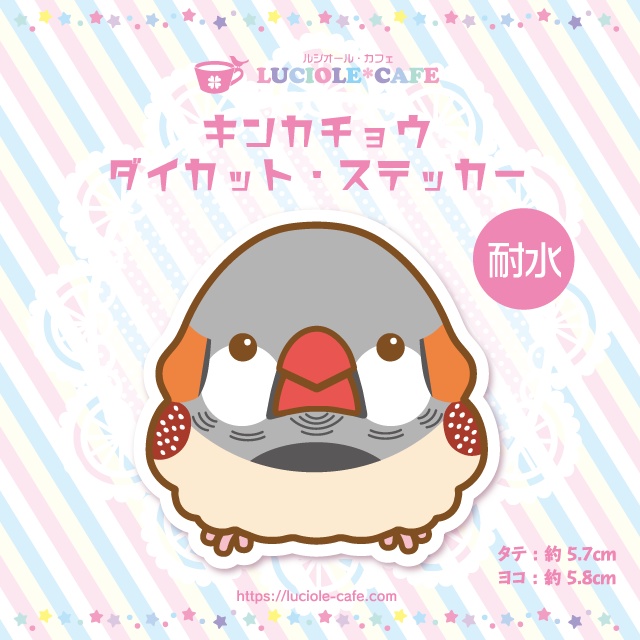 キンカチョウ・耐水ステッカー