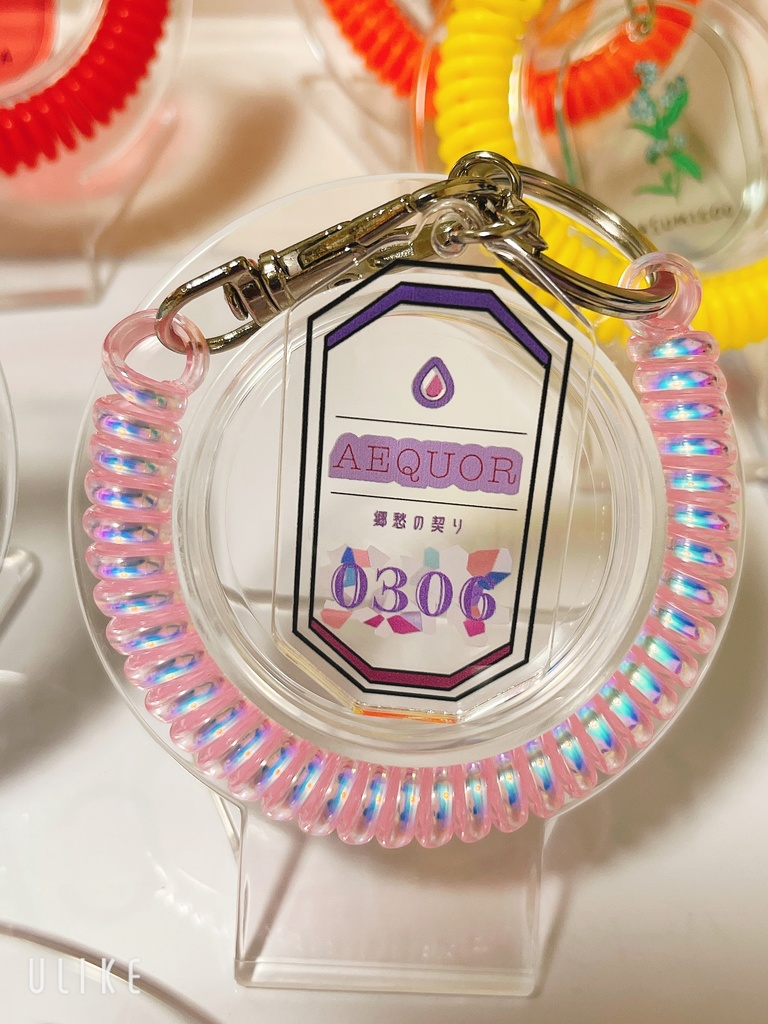 【タグ風アクリルスパイラルキーホルダー】全5種