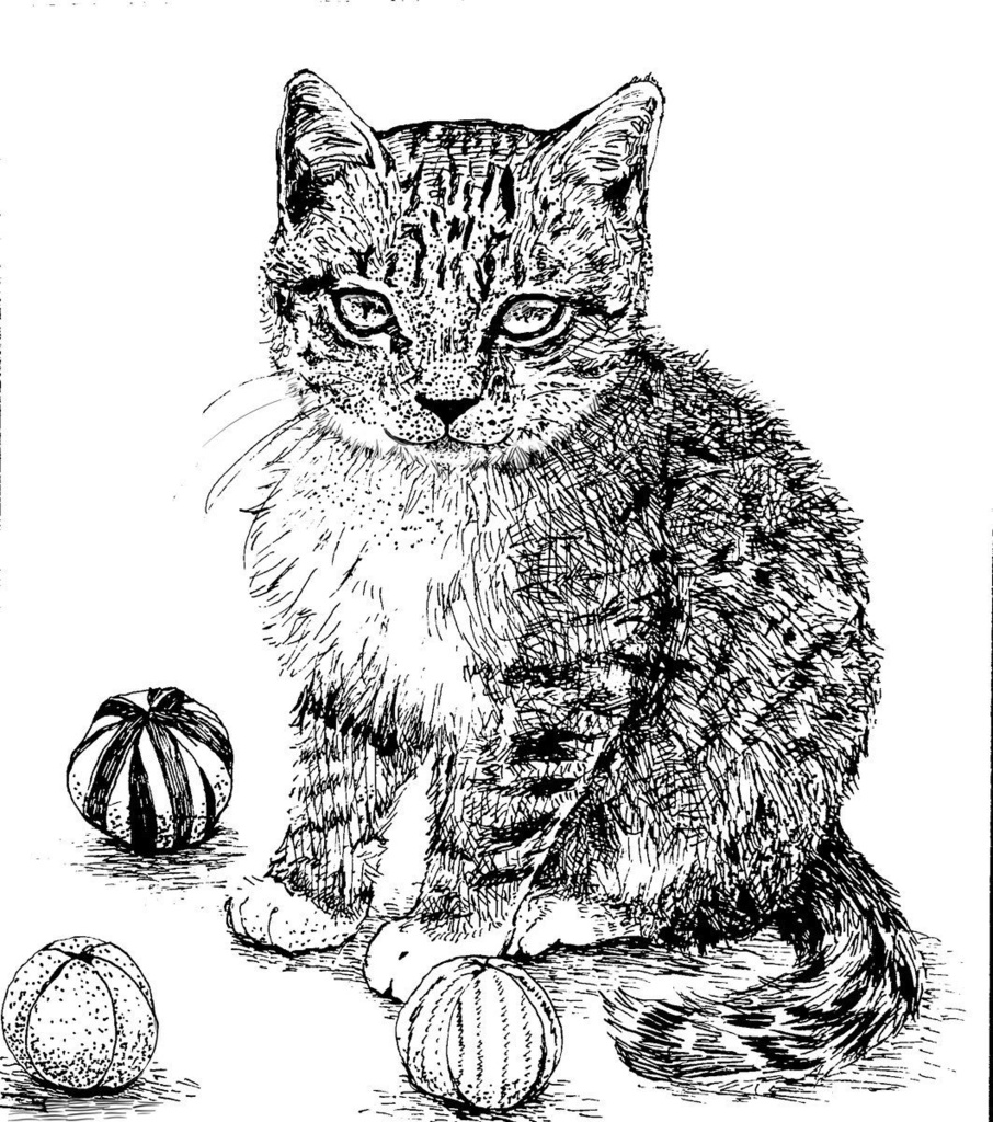 イラスト色紙