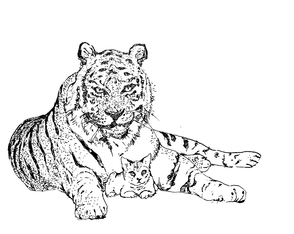 イラスト色紙