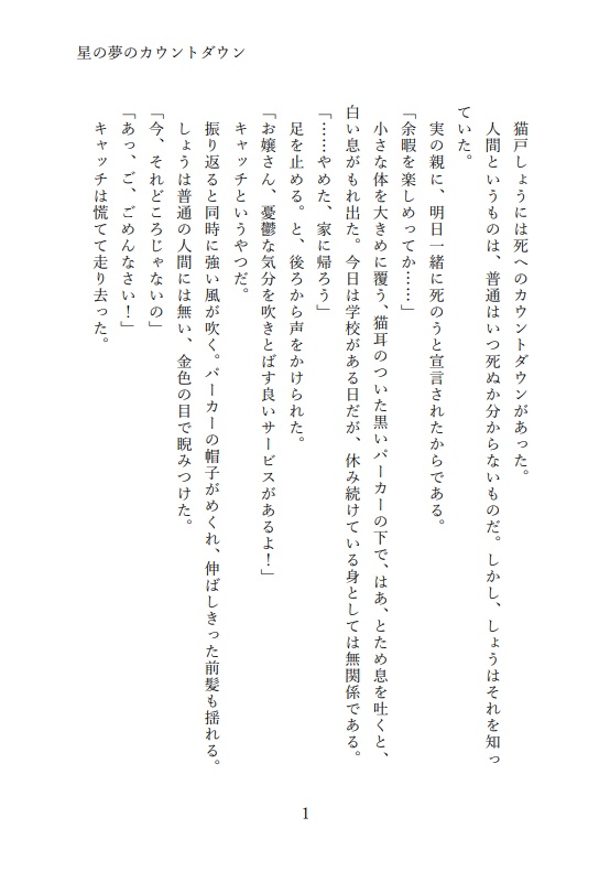 【小説】星の夢のカウントダウン