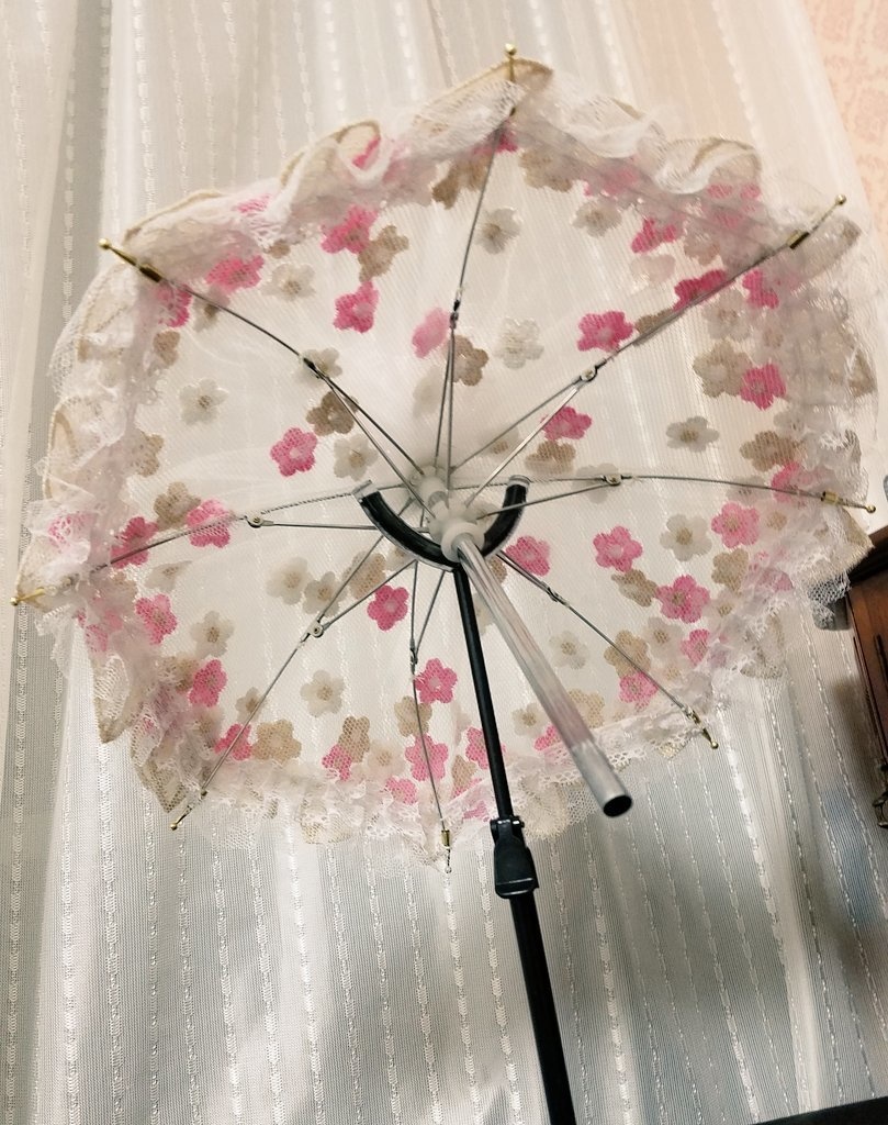花びらの舞うパラソル　