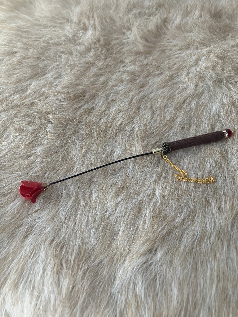 エンジェルフィリア　薔薇の鞭